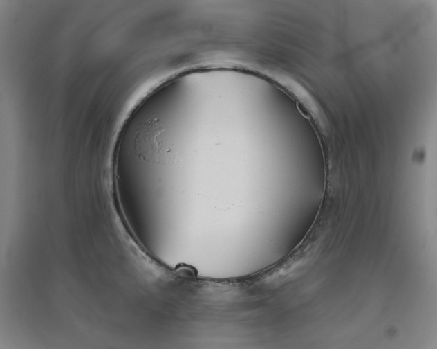 X0000094791191200711161426