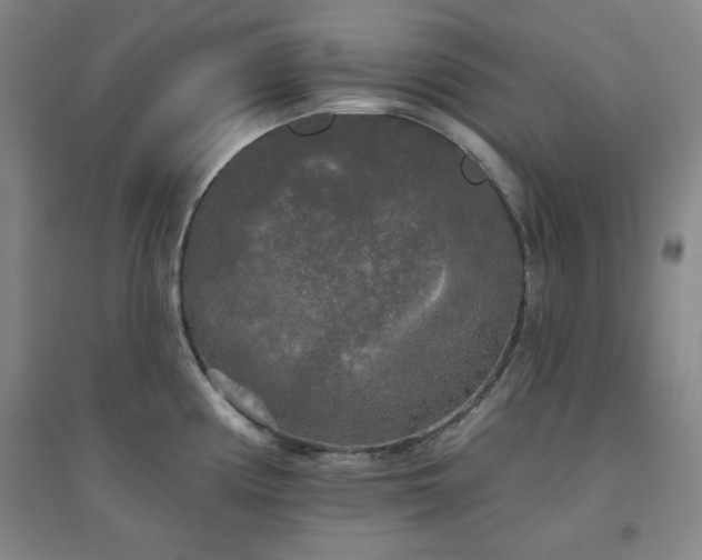 X0000094791194200711161426