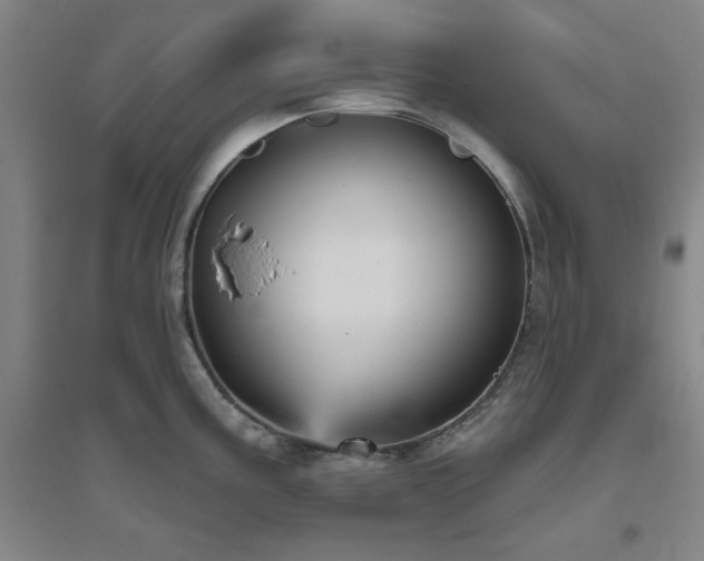 X0000094791195200711161426