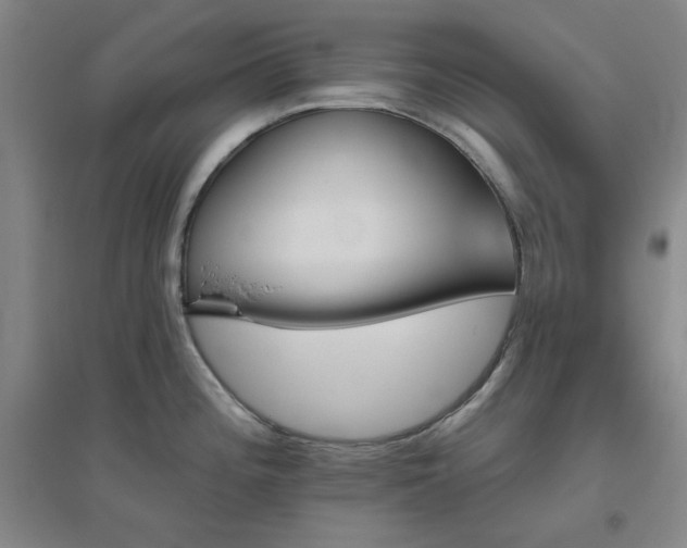 X0000094791196200711161426