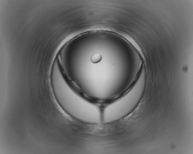 X0000094791197200711161426