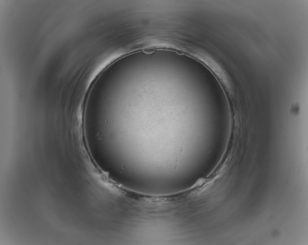 X0000094791198200711161426