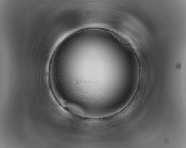 X0000094791199200711161426