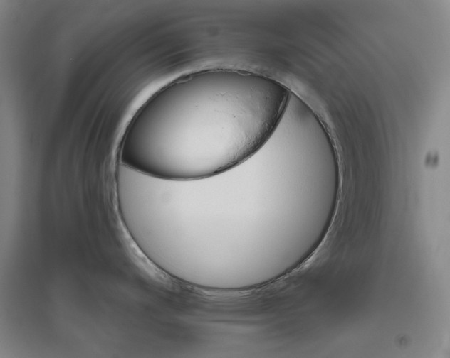 X0000094791200200711161426
