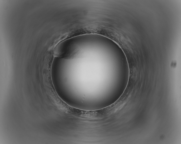X0000094791201200711161425