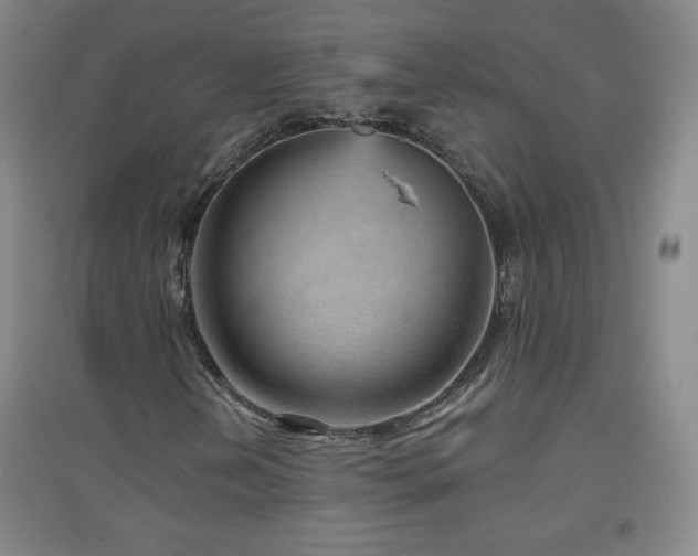 X0000094791202200711161425