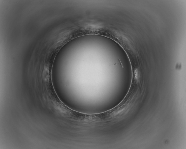 X0000094791203200711161425