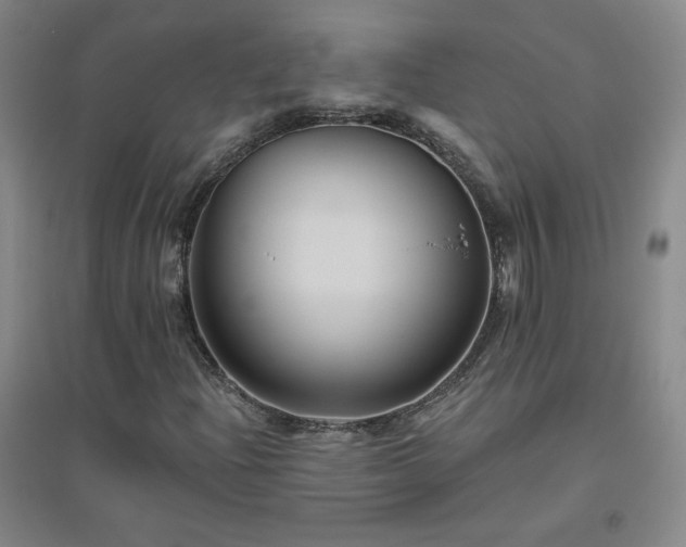 X0000094791204200711161425