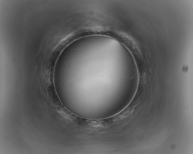 X0000094791205200711161425