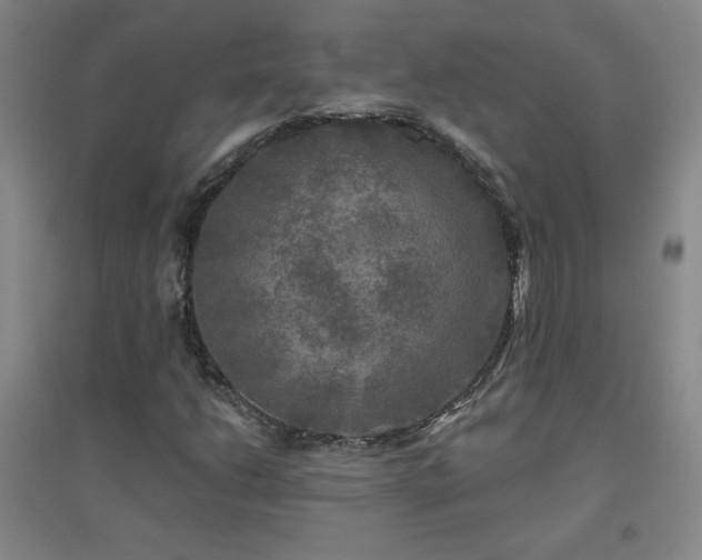 X0000094791206200711161425