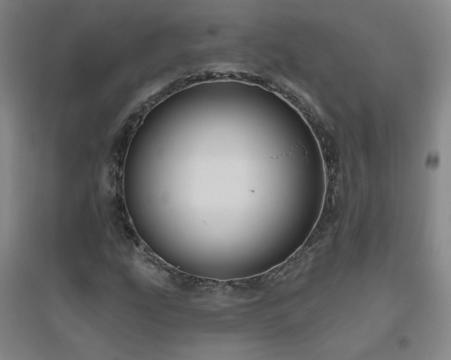 X0000094791207200711161425