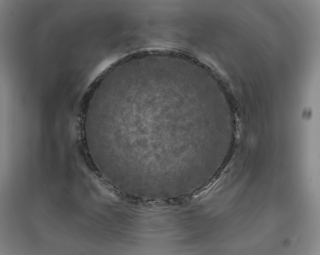 X0000094791208200711161425