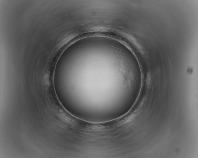 X0000094791209200711161425