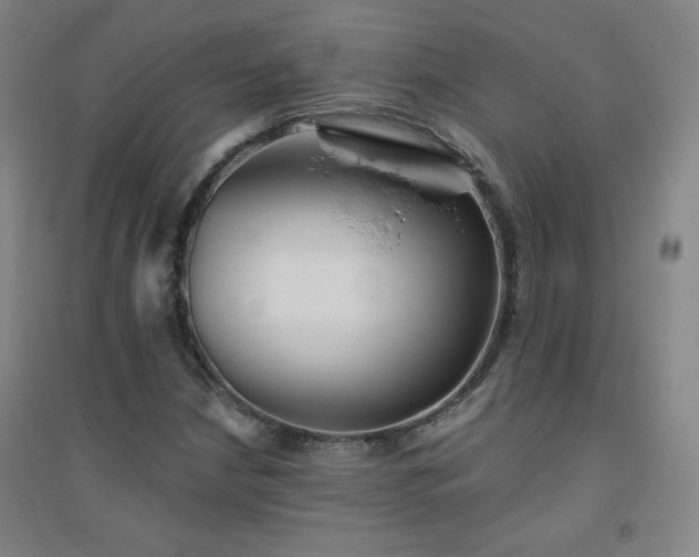 X0000094791210200711161425