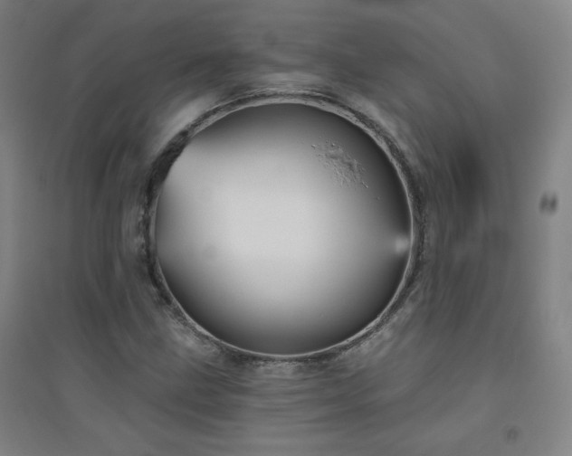 X0000094791211200711161425