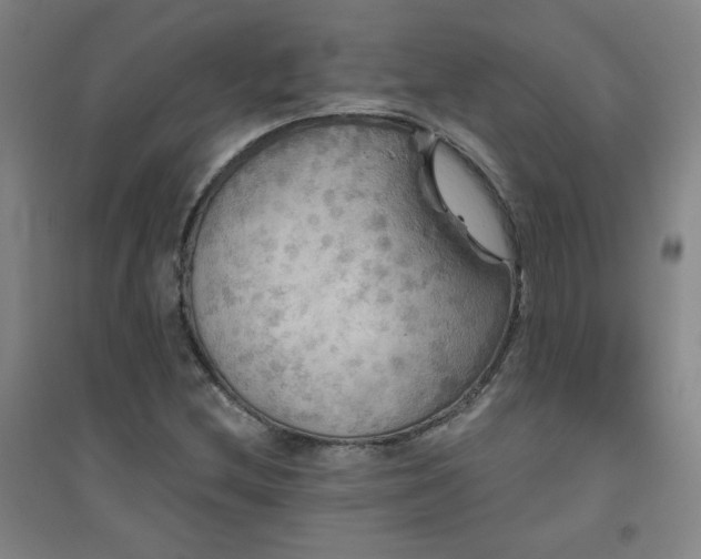 X0000094791212200711161425