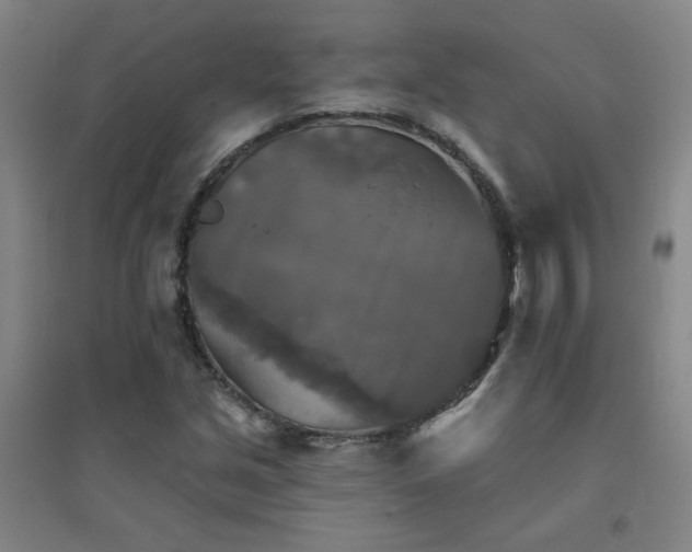 X0000094791213200711161425