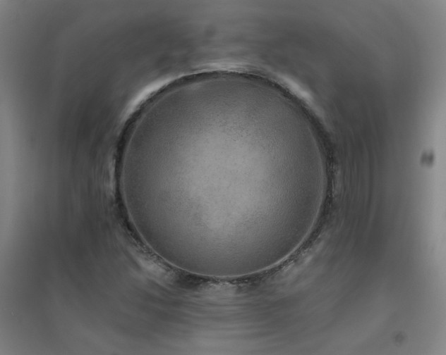 X0000094791214200711161425