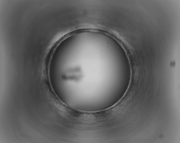 X0000094791215200711161426