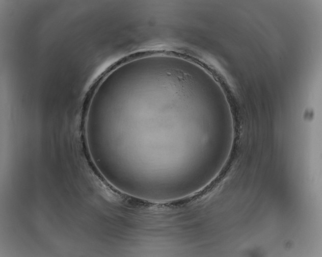 X0000094791216200711161426