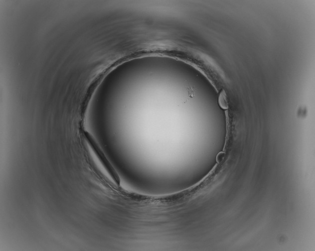 X0000094791217200711161426