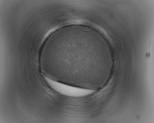 X0000094791218200711161426