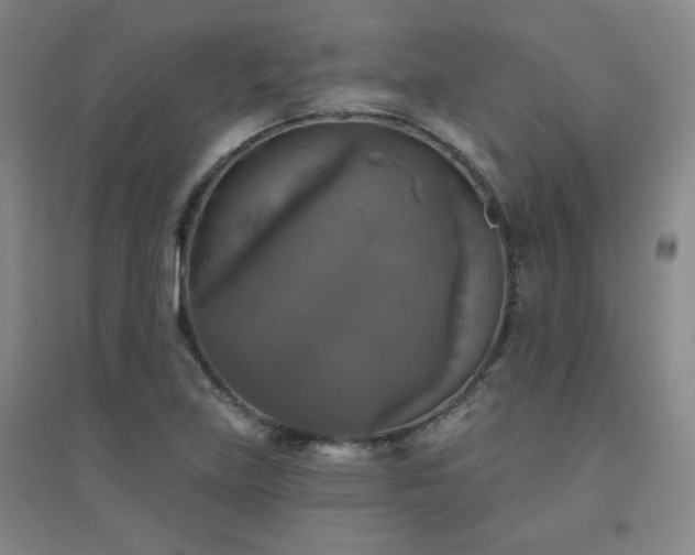 X0000094791219200711161426