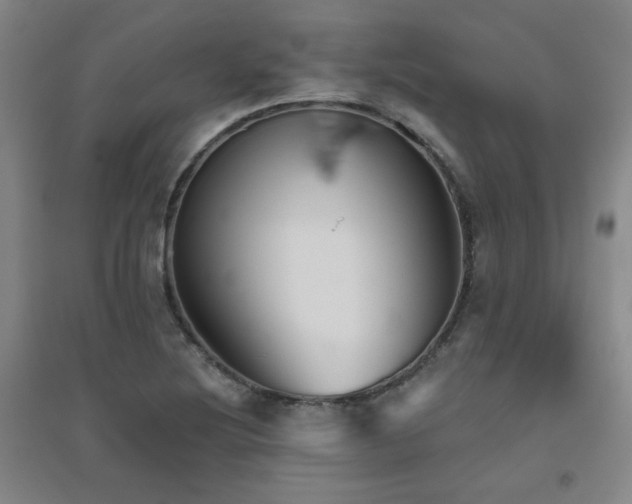 X0000094791220200711161426