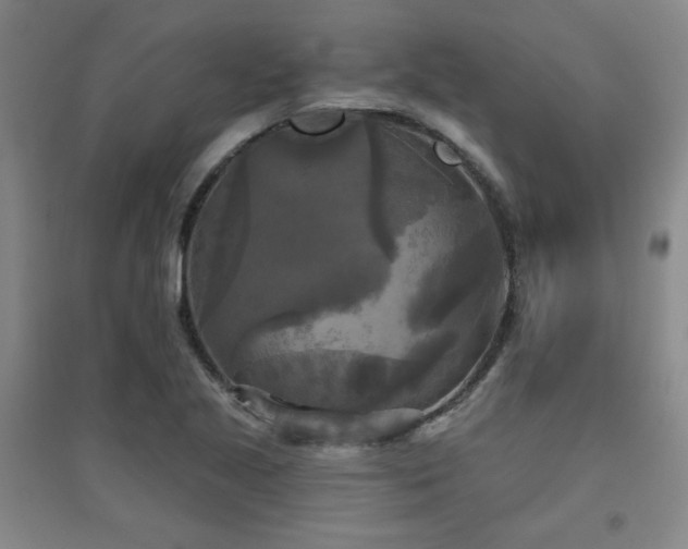 X0000094791221200711161426