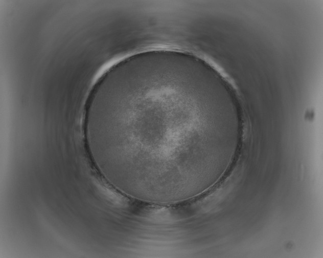 X0000094791222200711161426