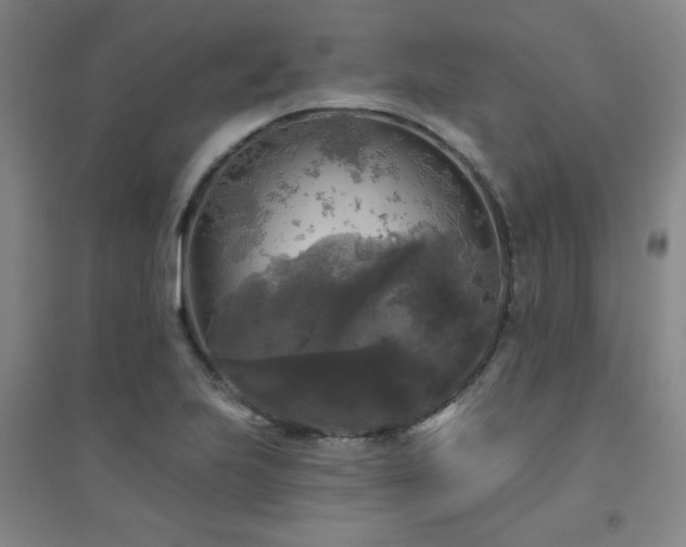 X0000094791223200711161426