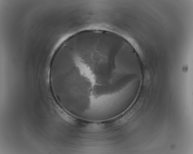 X0000094791224200711161426