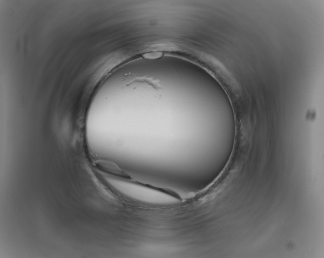 X0000094791225200711161426