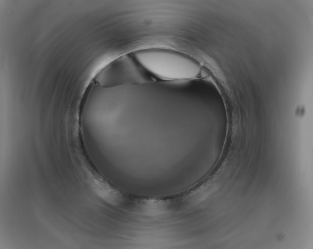 X0000094791226200711161426