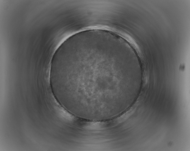 X0000094791228200711161426