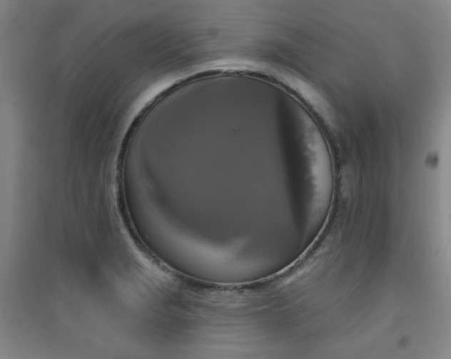 X0000094791229200711161426