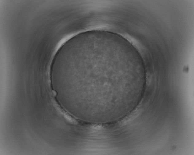 X0000094791230200711161426