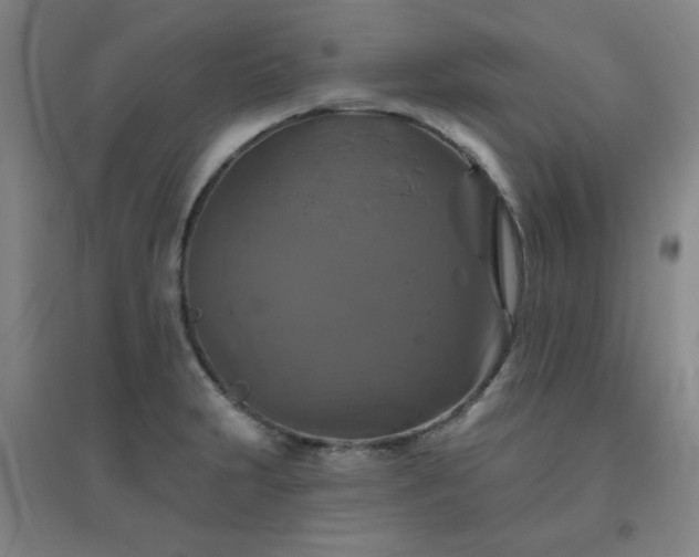 X0000094791231200711161426