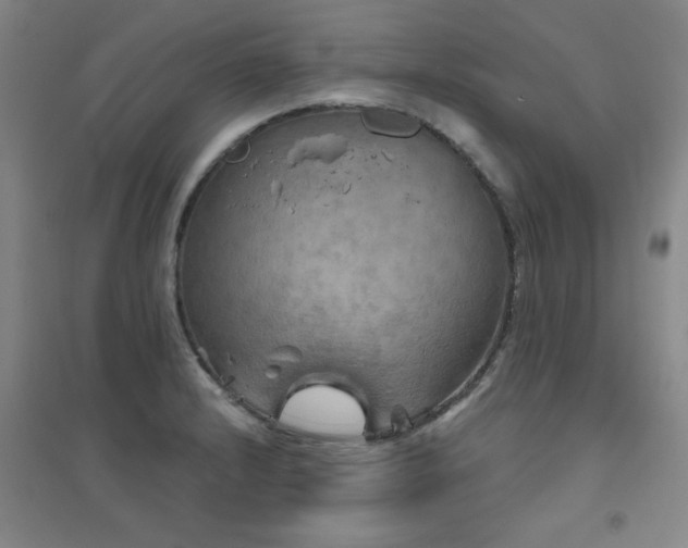 X0000094791232200711161426