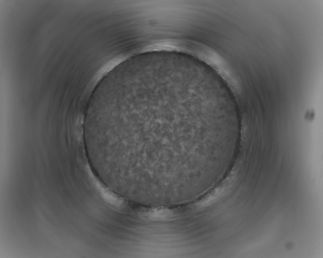 X0000094791233200711161426