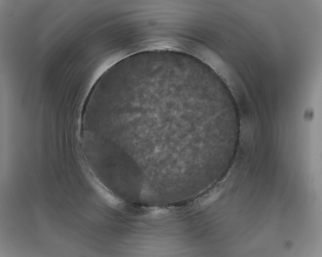 X0000094791234200711161426