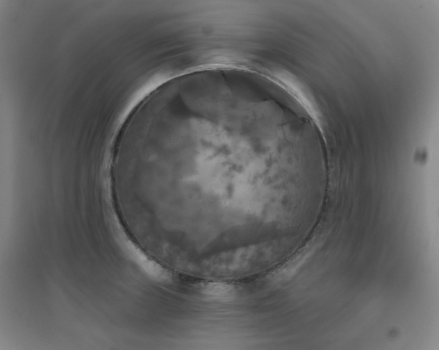 X0000094791235200711161426