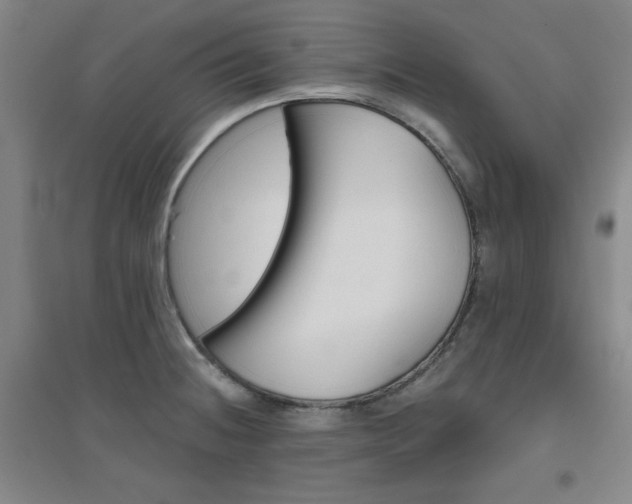 X0000094791236200711161426