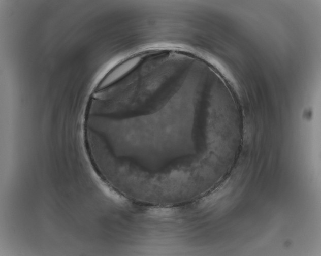 X0000094791237200711161426