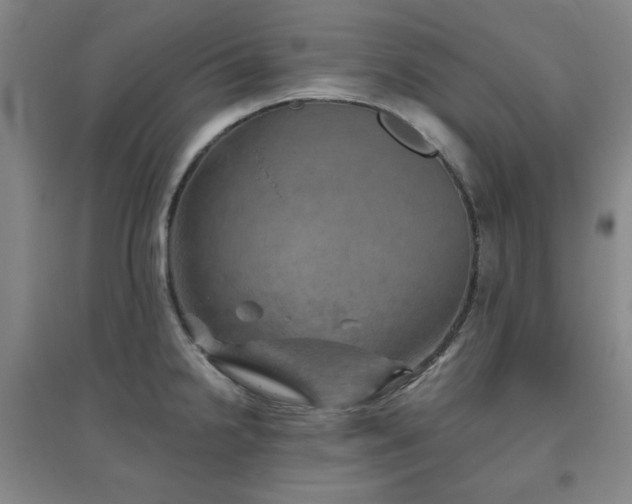 X0000094791238200711161426