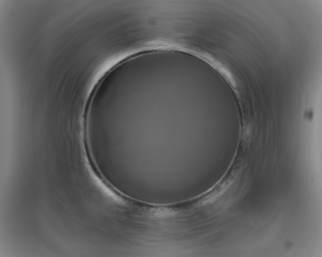 X0000094791239200711161426