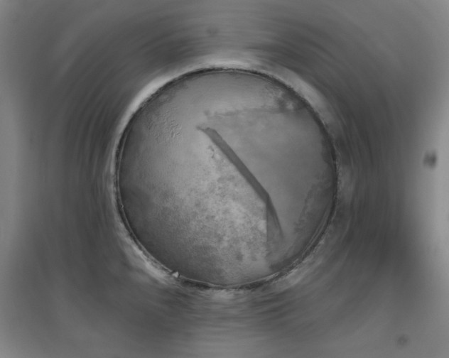 X0000094791240200711161426
