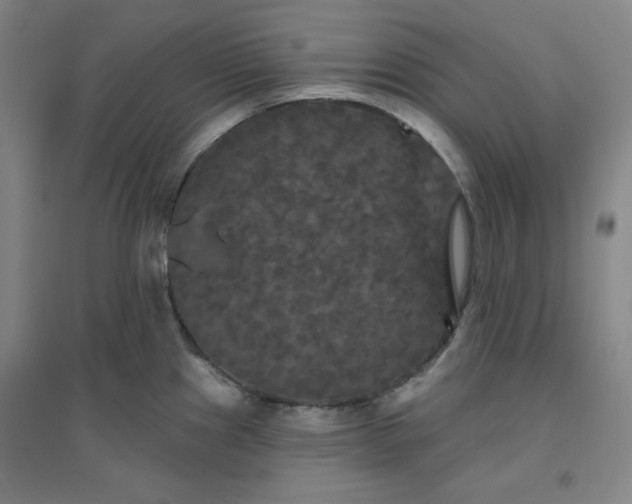 X0000094791241200711161426