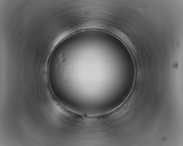 X0000094791242200711161426