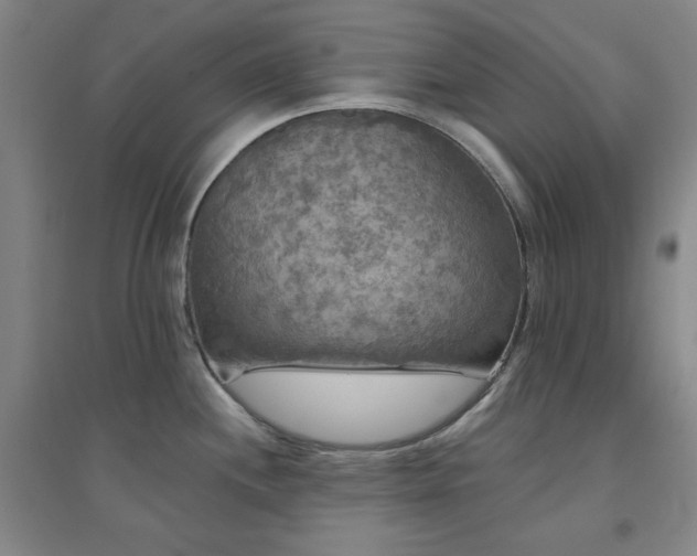 X0000094791244200711161426